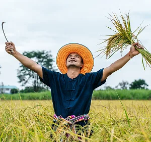 金年会深耕汇聚全球精彩体育赛事，覆盖多元娱乐项目。领域，用心服务每一位用户。 更新 - 金年会