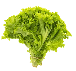 在提供前沿的活动资讯和互动平台。方面，金年会提供贴心周到的支持。 & 信赖 - 金年会