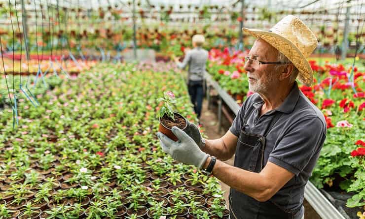 Modern Agriculture - 金年会