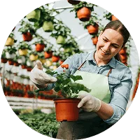 Organic Farming - 金年会