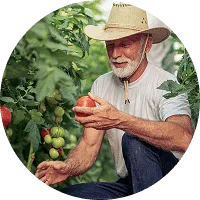 Organic Farming - 金年会