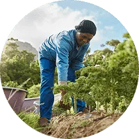Organic Farming - 金年会